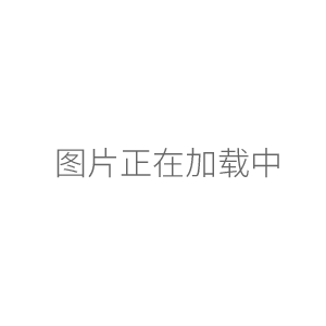 BHC-1300IIA/B3二級(jí)生物安全柜 100%外排風(fēng)